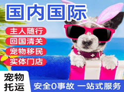 三亚凤凰航空运输国际宠物托运 【国
